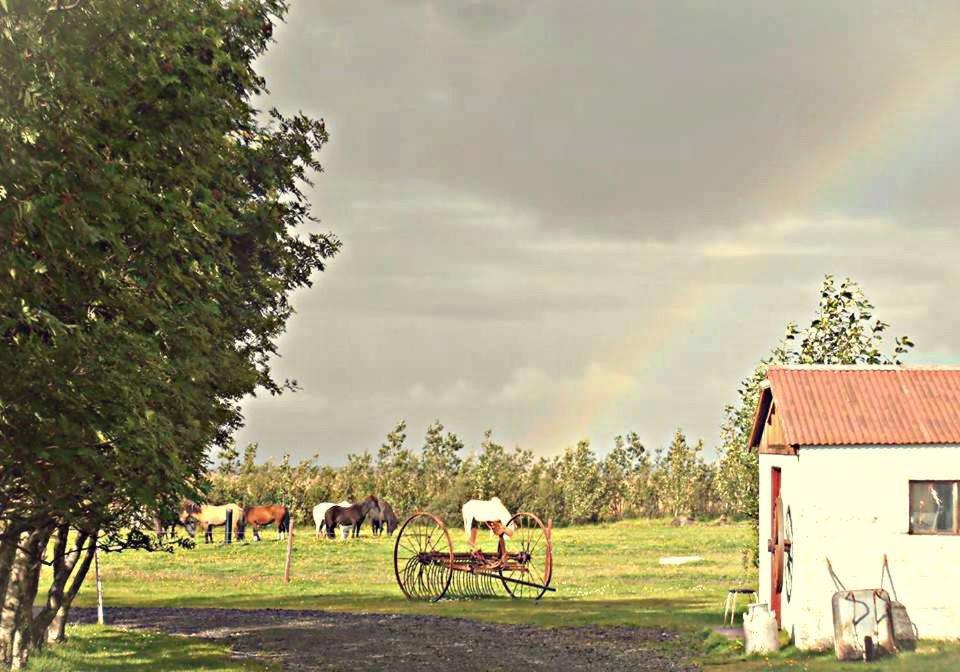 Rauthuskrithur Farm Holmabaeir Экстерьер фото