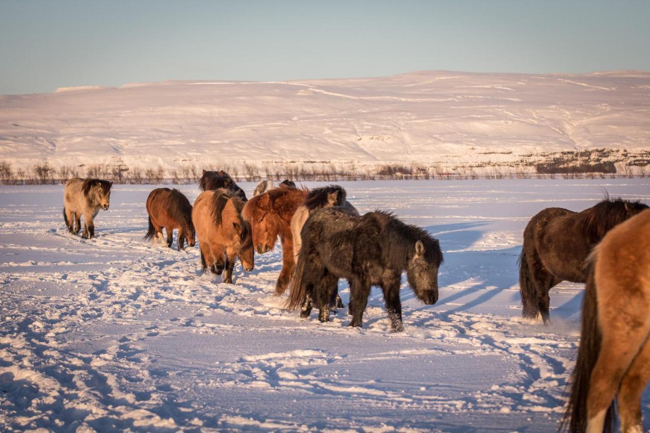Rauthuskrithur Farm Holmabaeir Экстерьер фото