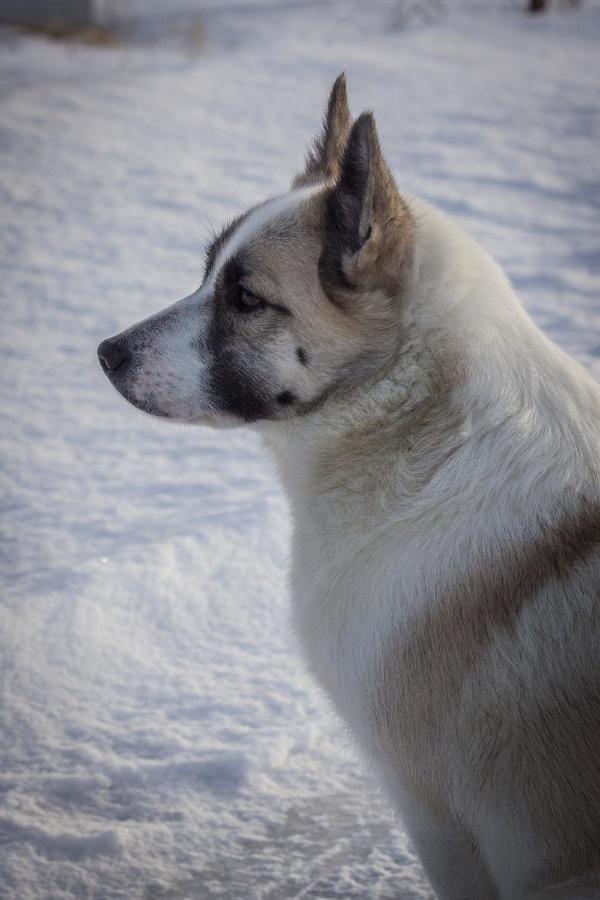 Rauthuskrithur Farm Holmabaeir Экстерьер фото