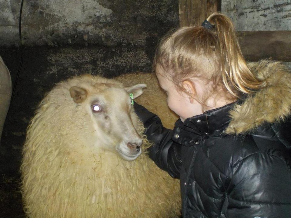 Rauthuskrithur Farm Holmabaeir Экстерьер фото